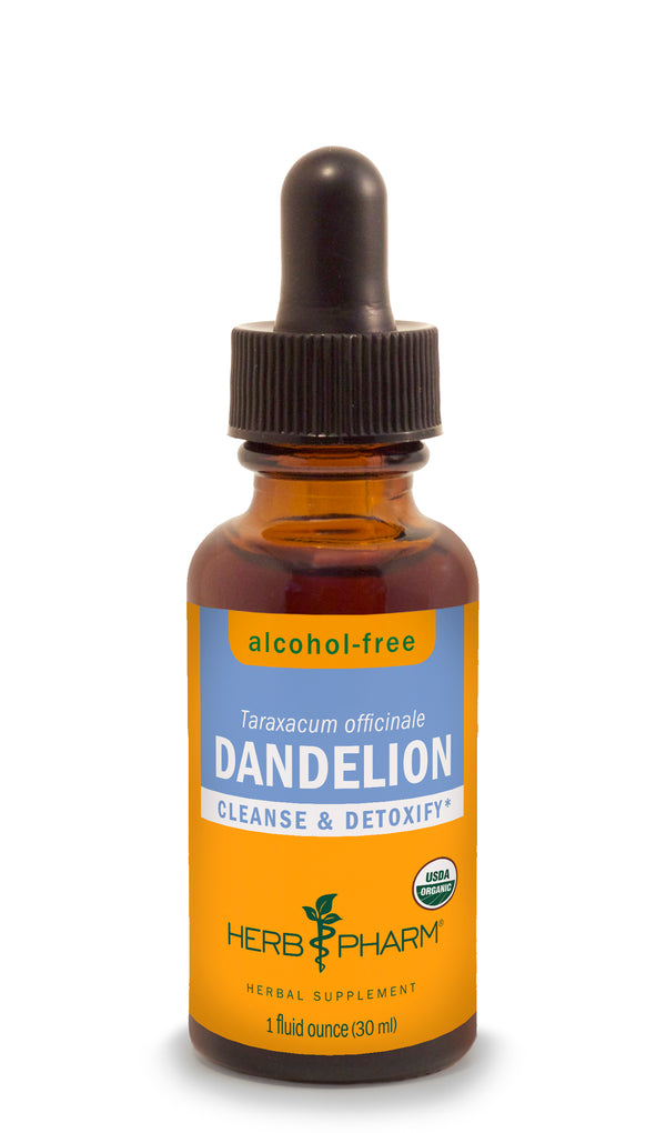 Dandelion Alcohol-Free Tincture