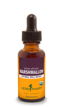 Marshmallow Tincture