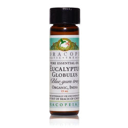 Eucalyptus Globulus