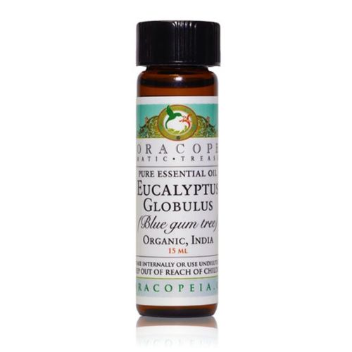 Eucalyptus Globulus